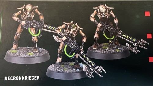 Warhammer 40k guerriero - 40k, necron