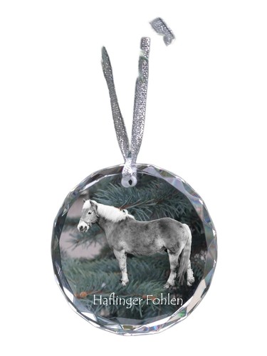 Haflinger fohlen medaglia - medaglia, di