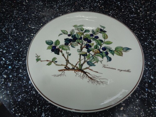 Villeroy boch botanica - &,
