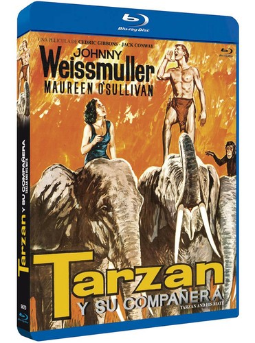 Tarzan companera - e, (tarzan