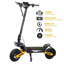 Adult Off-Road Electric