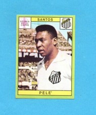 PANINI CALCIATORI