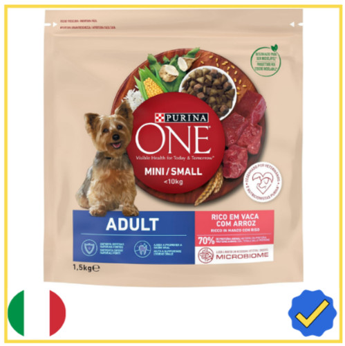 Small mini adult dog - mini,