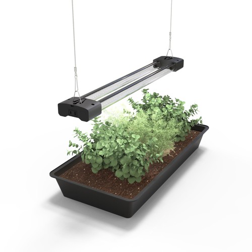 Dymond boostgro led seed - dymond,
