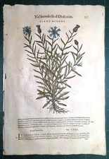 MATTIOLI MATTHIOLI Erbario a