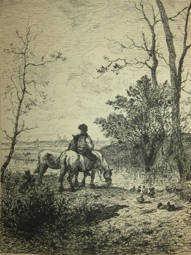 Amedeo besnus 1831 - amedeo,