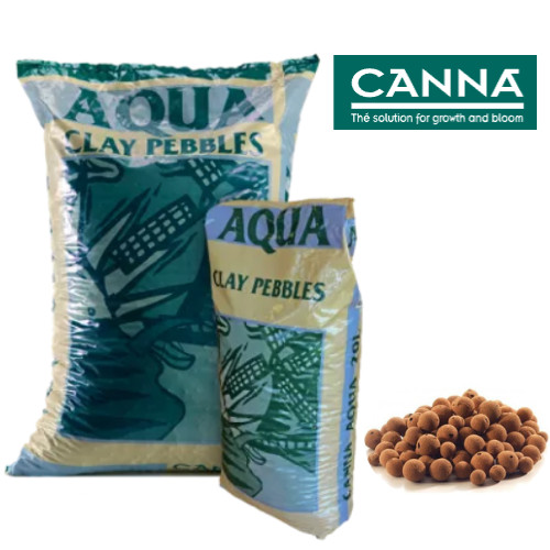 Argilla espansa canna - argilla,