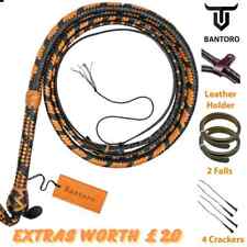 Frusta professionale in pelle