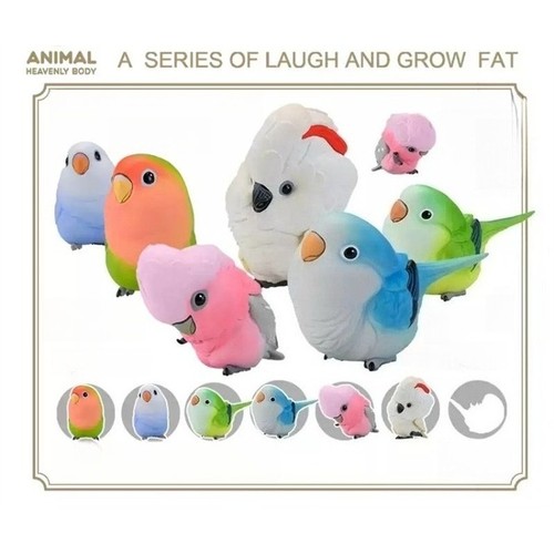 Animal planet laugh and - animal, grow