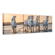 Set 3 Quadri su tela con