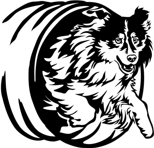 Adesivo australian shepherd - adesivo,