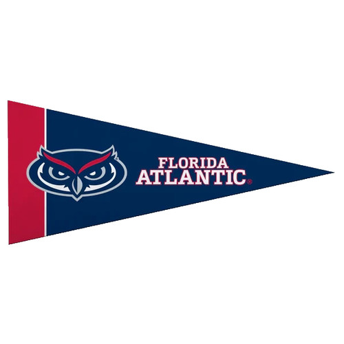 Florida atlantic owls fau - florida, mini