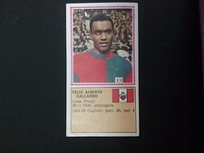 Album Panini Calciatori