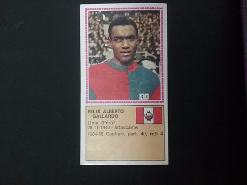 Album panini calciatori - album,