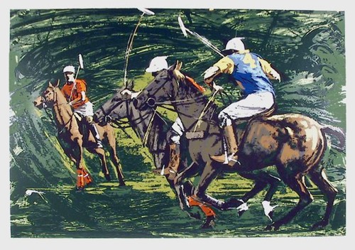Harry schaare polo - schaare, stampa