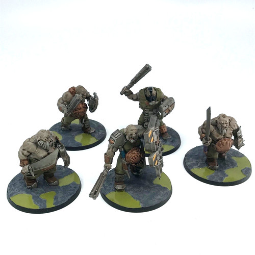 Bullgryn ogryn custom squad - bullgryn,