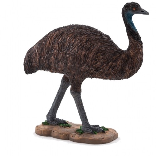 Animal planet emu - animal,