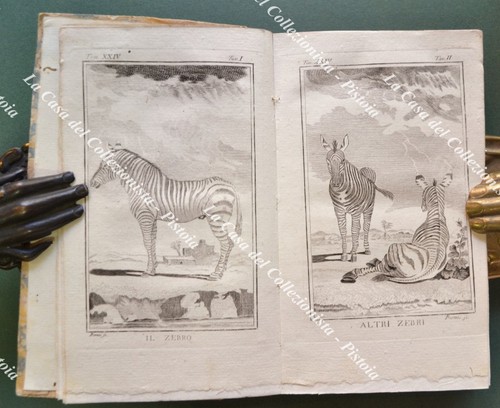 Zoologia buffon 1772 la - zoologia,,