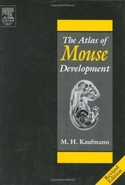 The atlas mouse development - mouse,
