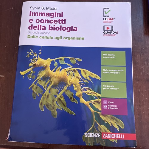 Libri usati scuola - libri,