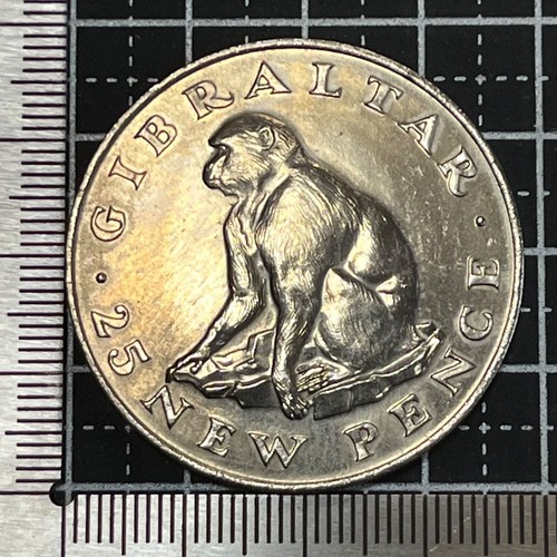 Moneta newpence gibilterra - moneta,