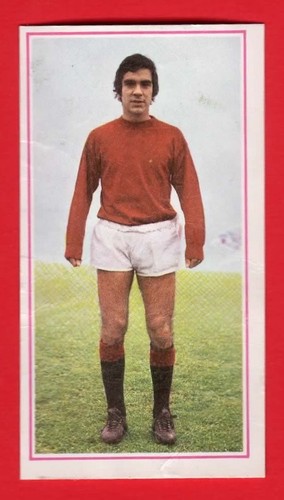 Figurina calciatori panini - figurina,
