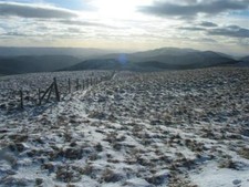 Photo 6x4 Looking SW from