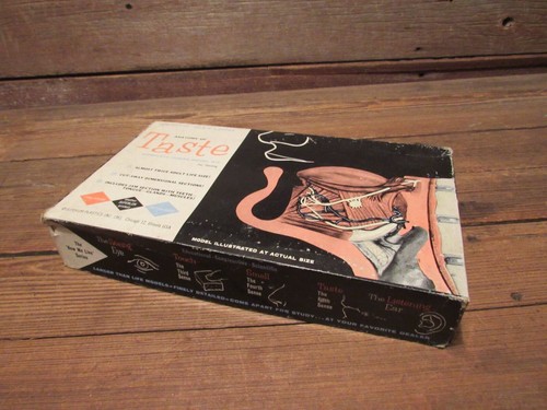 Modellino vintage 1961 - , di