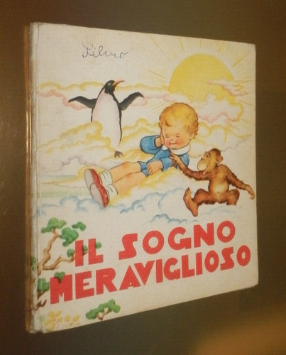 Sogno meraviglioso - il, _