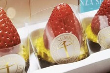 Fragole giapponesi costose Sembikiya Queen: 10 semi freschi da piantare + REGALO