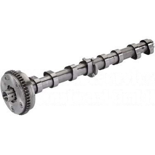 Albero camme lato ingresso - camme,