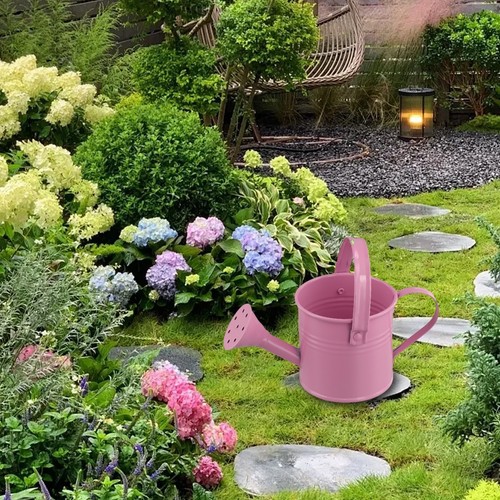 Vaso spruzzatore acqua piccolo - vaso,