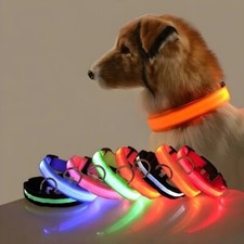 Collare per Cane LED Fluo