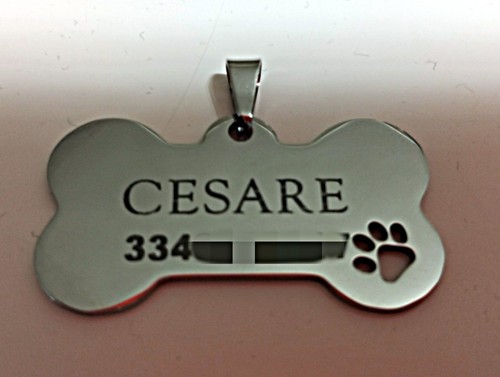 Targhetta personalizzata cane - targhetta,