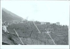 fo2818  foto originale pimonte