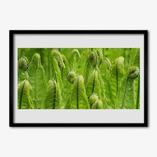 70x50 Cornice di legno MDF con