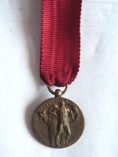 Medaglia mignon volontari di