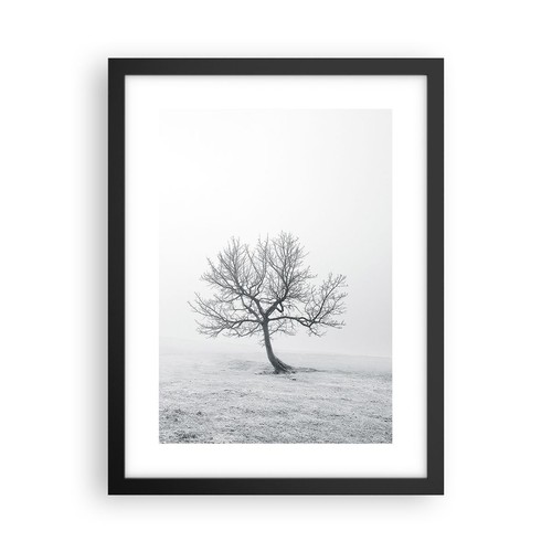 Poster 30x40cm albero campo