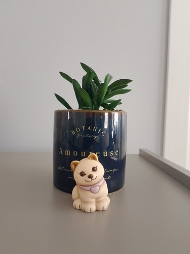 Gattino thun bauli - gattino,
