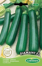 Diamant F1 Semi di Zucchine 2