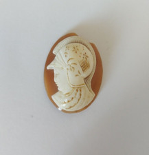 CAMMEI-CAMEI-CAMEO-CONCHIGLIA-VECCHIO CAMMEO-MM 30X22-TORRE DEL GRECO-ANNI 40