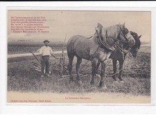 Le Laboureur Beauceron - très