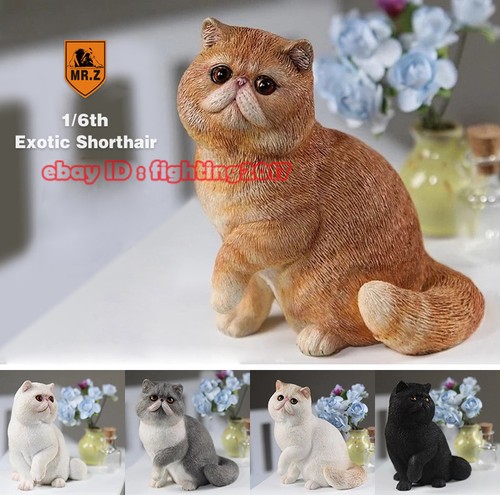 Animal model mrz - model,