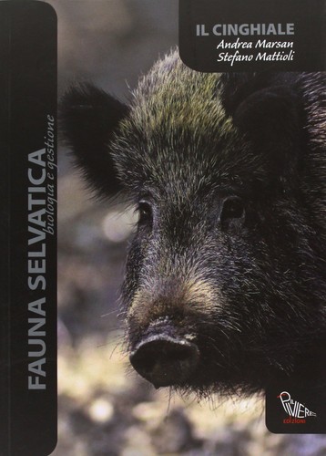 Libro stefano mattioli - libro, /
