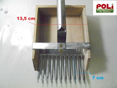Raccogli mirtilli legno con - legno,