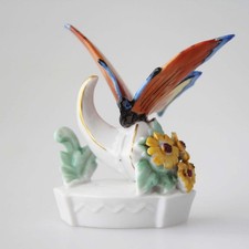 Farfalla su cornucopia -