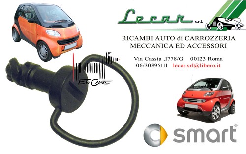 Vite perno chiusura carter - 1,