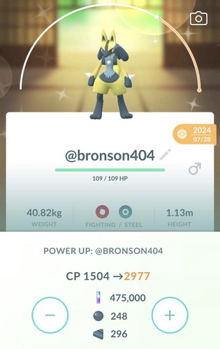 Pokemon shiny lucario - pokemon,