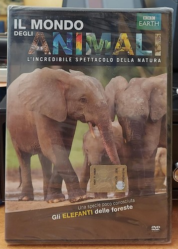 Gli elefanti delle foreste - gli, dvd