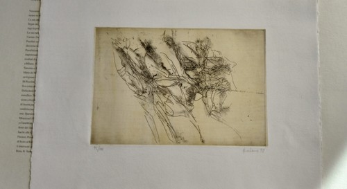 Vincenzo balena incisione 1998 - vincenzo,